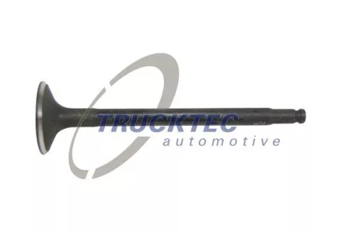 Intake Valve