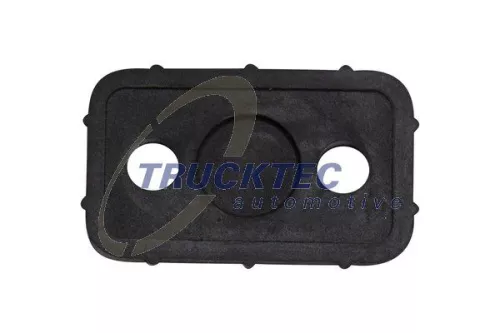 Gasket, timing case cover