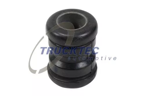 Bushing, leaf spring