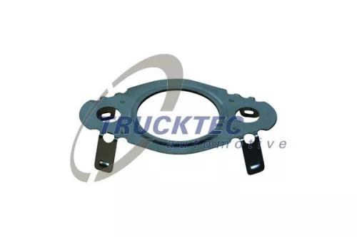 Gasket, EGR valve