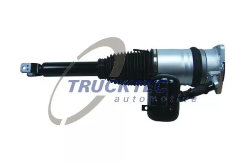 Air Suspension Strut