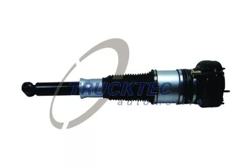Air Suspension Strut