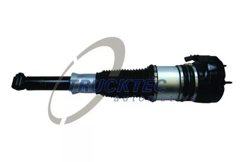 Air Suspension Strut