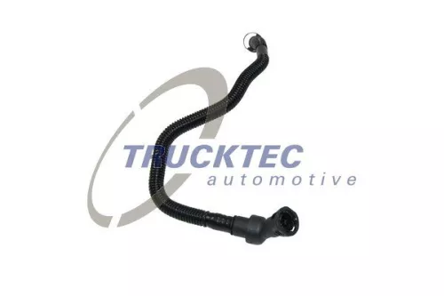 Hose, crankcase ventilation