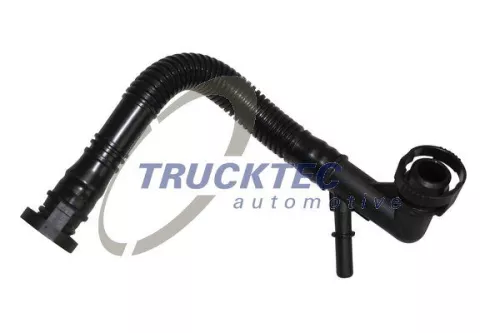 Hose, crankcase ventilation