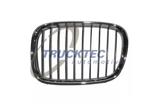 Radiator Grille