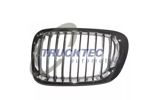 Radiator Grille
