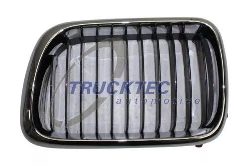 Radiator Grille