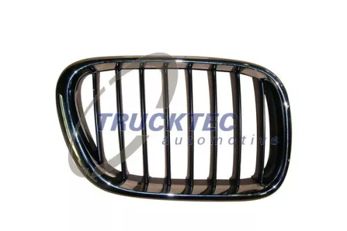 Radiator Grille
