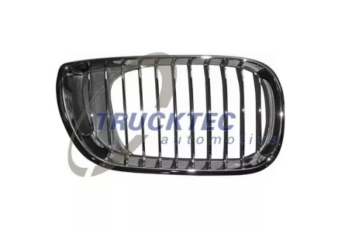 Radiator Grille