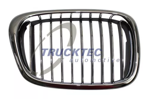 Radiator Grille