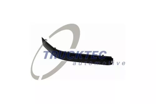 Trim/Protection Strip, bumper