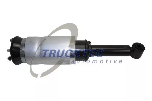 Air Suspension Strut