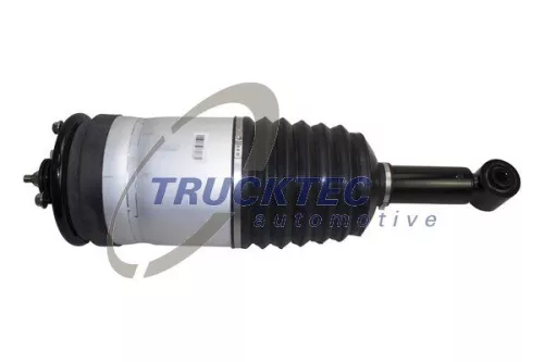 Air Suspension Strut