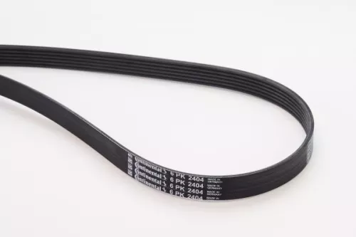 V-ribbed Belt