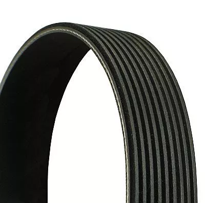 V-Ribbed Belt