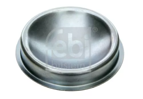 2x Cap, wheel bearing