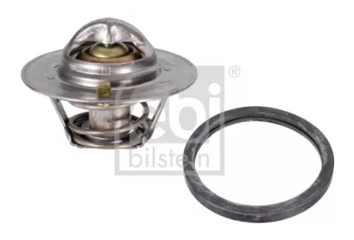 1x Thermostat, coolant
