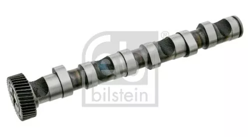 1x Camshaft