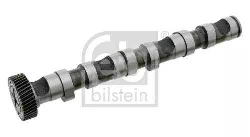 1x Camshaft
