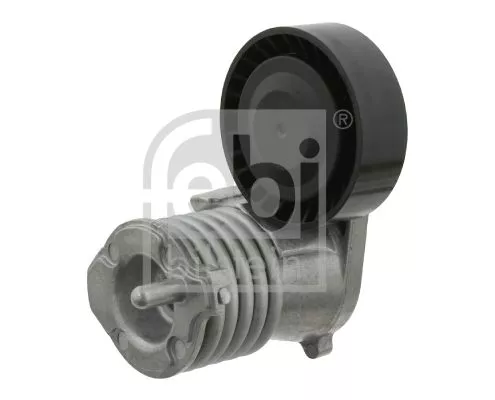 1x Belt Tensioner, V-ribbed belt