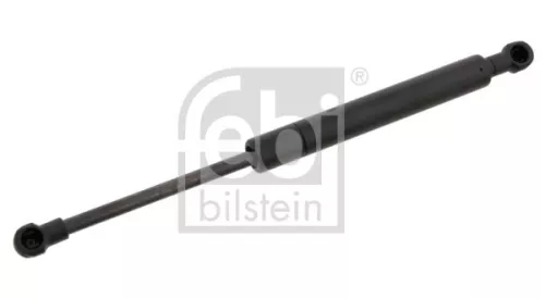 1x Gas Spring, bonnet
