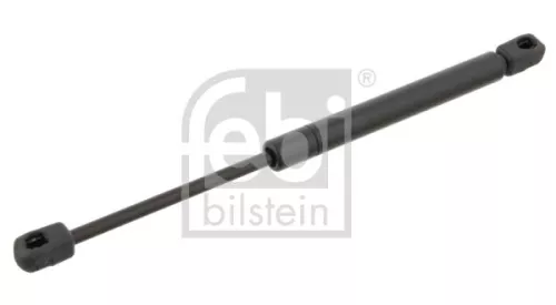 1x Gas Spring, bonnet