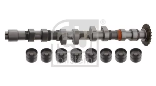 1x Camshaft Kit