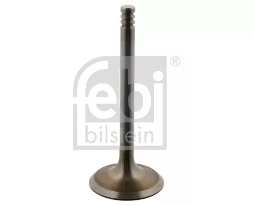 1x Intake Valve