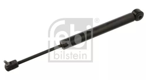 1x Gas Spring, bonnet