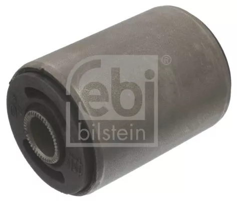 1x Bushing, leaf spring