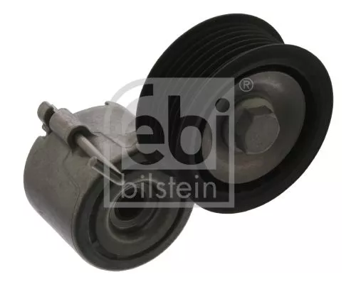 1x Belt Tensioner, V-ribbed belt