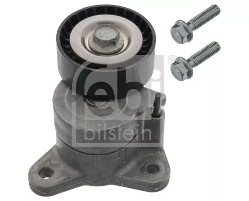 1x Belt Tensioner, V-ribbed belt