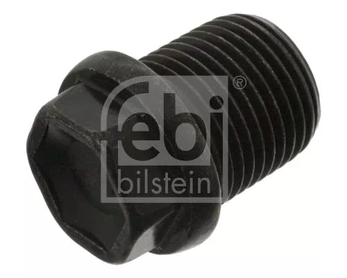 1x Screw Plug, oil sump