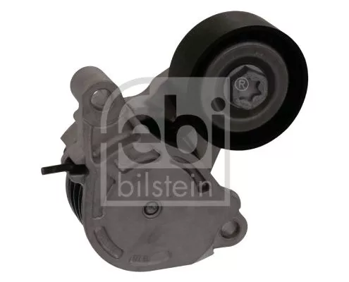 1x Belt Tensioner, V-ribbed belt