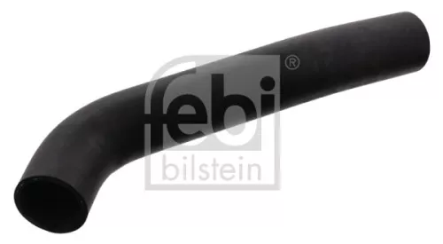 1x Radiator Hose