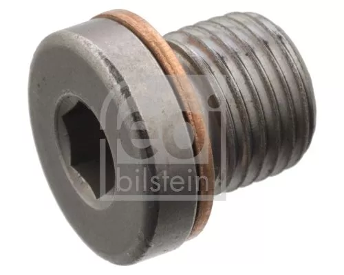 1x Screw Plug, axle drive
