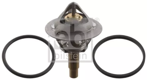 1x Thermostat, coolant