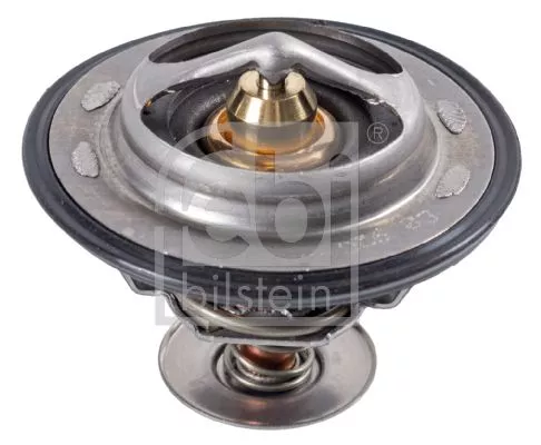 1x Thermostat, coolant