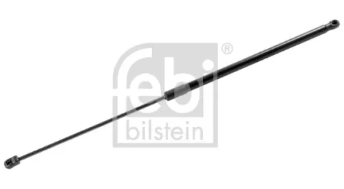 1x Gas Spring, bonnet