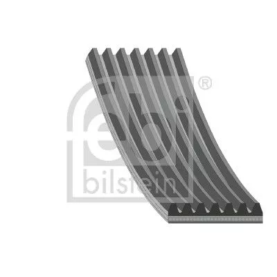 1x V-Ribbed Belt