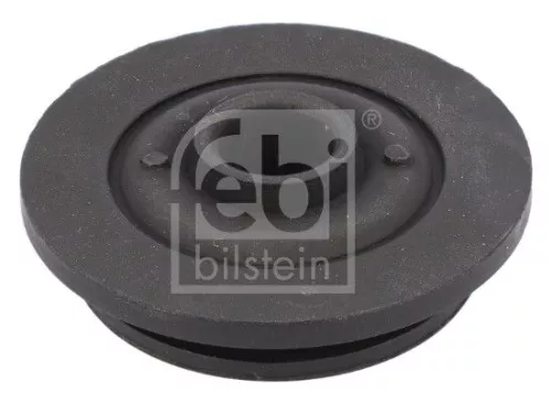 FEBI BILSTEIN 1x Mounting, radiator (184381)