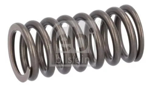 1x Valve Spring
