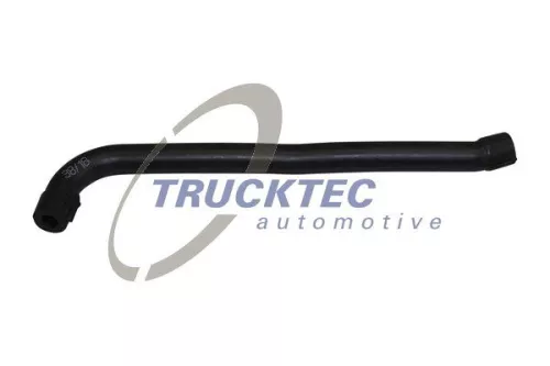 Hose, crankcase ventilation