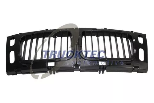 Radiator Grille