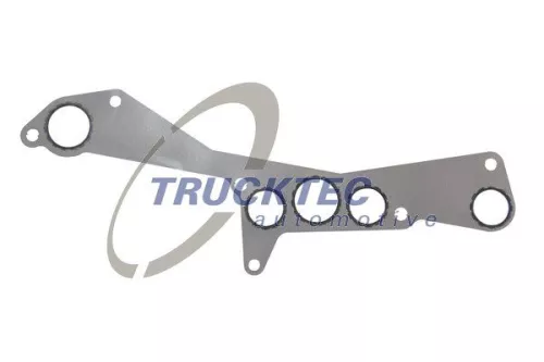 Gasket, oil filter housing