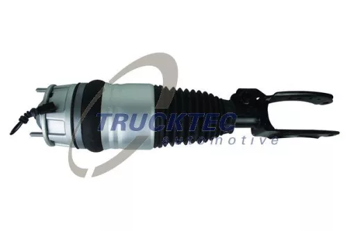 Air Suspension Strut