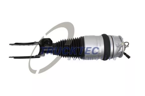 Air Suspension Strut