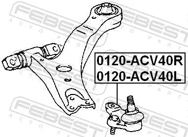 FEBEST Ball Joint (0120-ACV40R)
