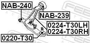 FEBEST Ball Joint (0220-T30)